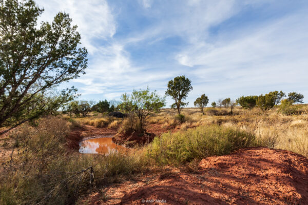 Property photograph 01