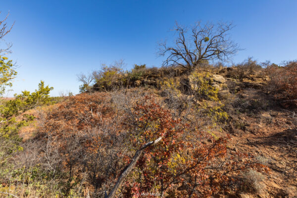 Property photograph 01