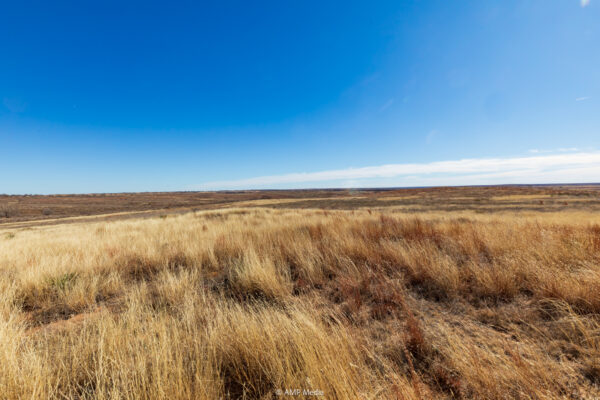 Property photograph 01