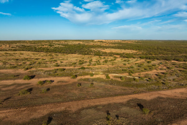 Property photograph 01