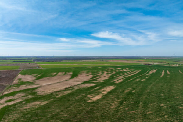 Property photograph 01