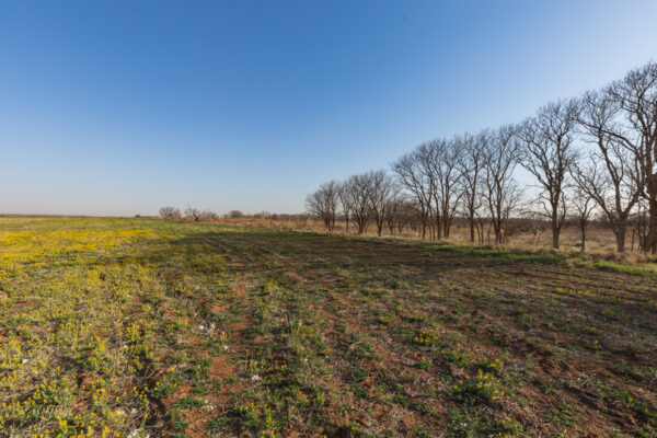 Property photograph 01