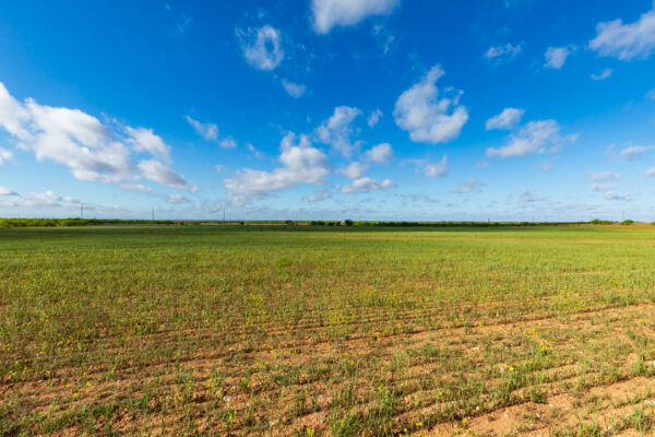 Property photograph 01
