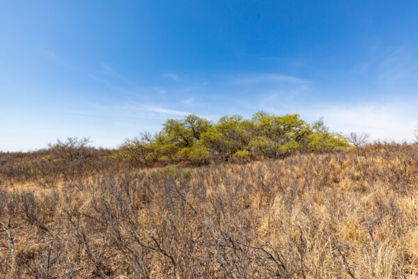 Property photograph 01