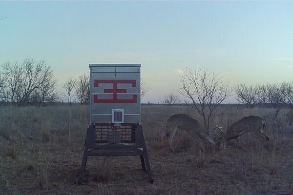 Property photograph 01