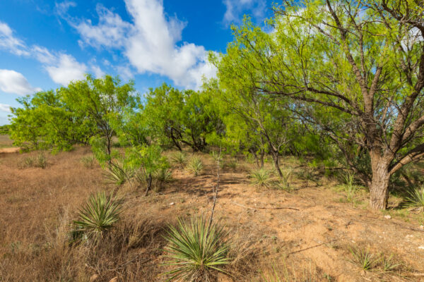 Property photograph 01