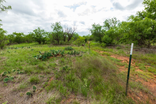 Property photograph 01