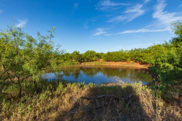 Property photograph 01