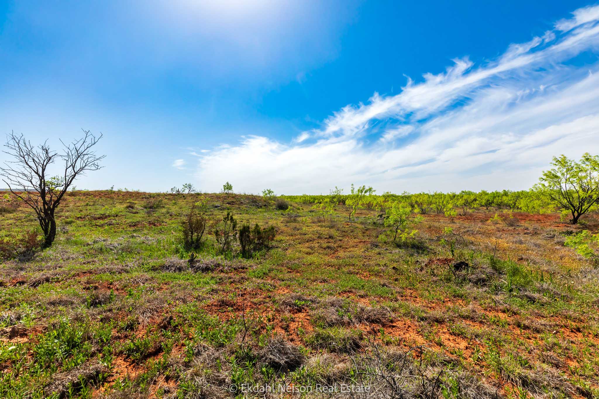 Property Photo 10 Property photograph 10