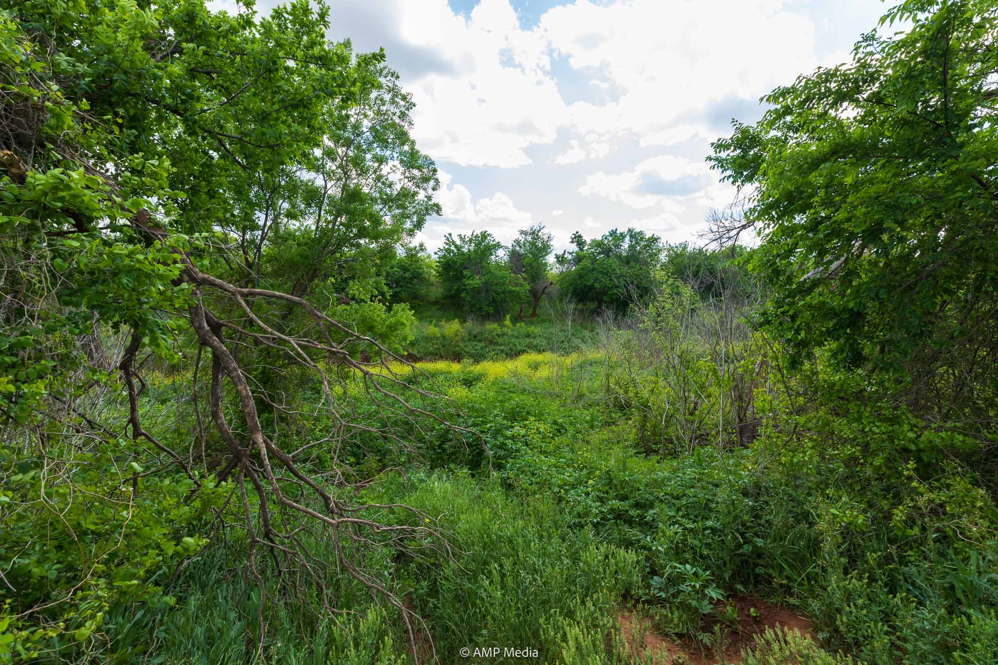 Property Photo 10 Property photograph 10