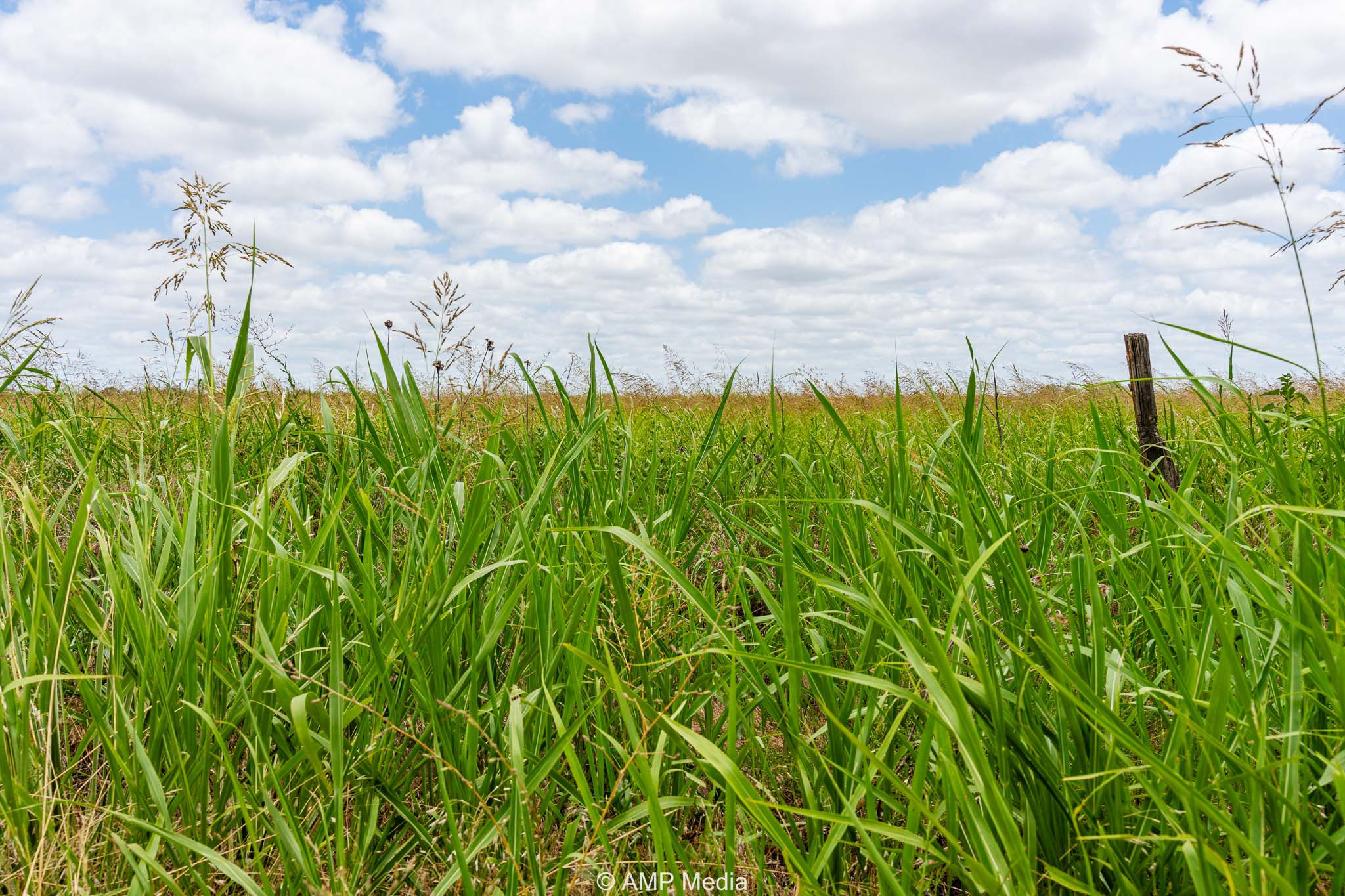 Property Photo 10 Property photograph 10