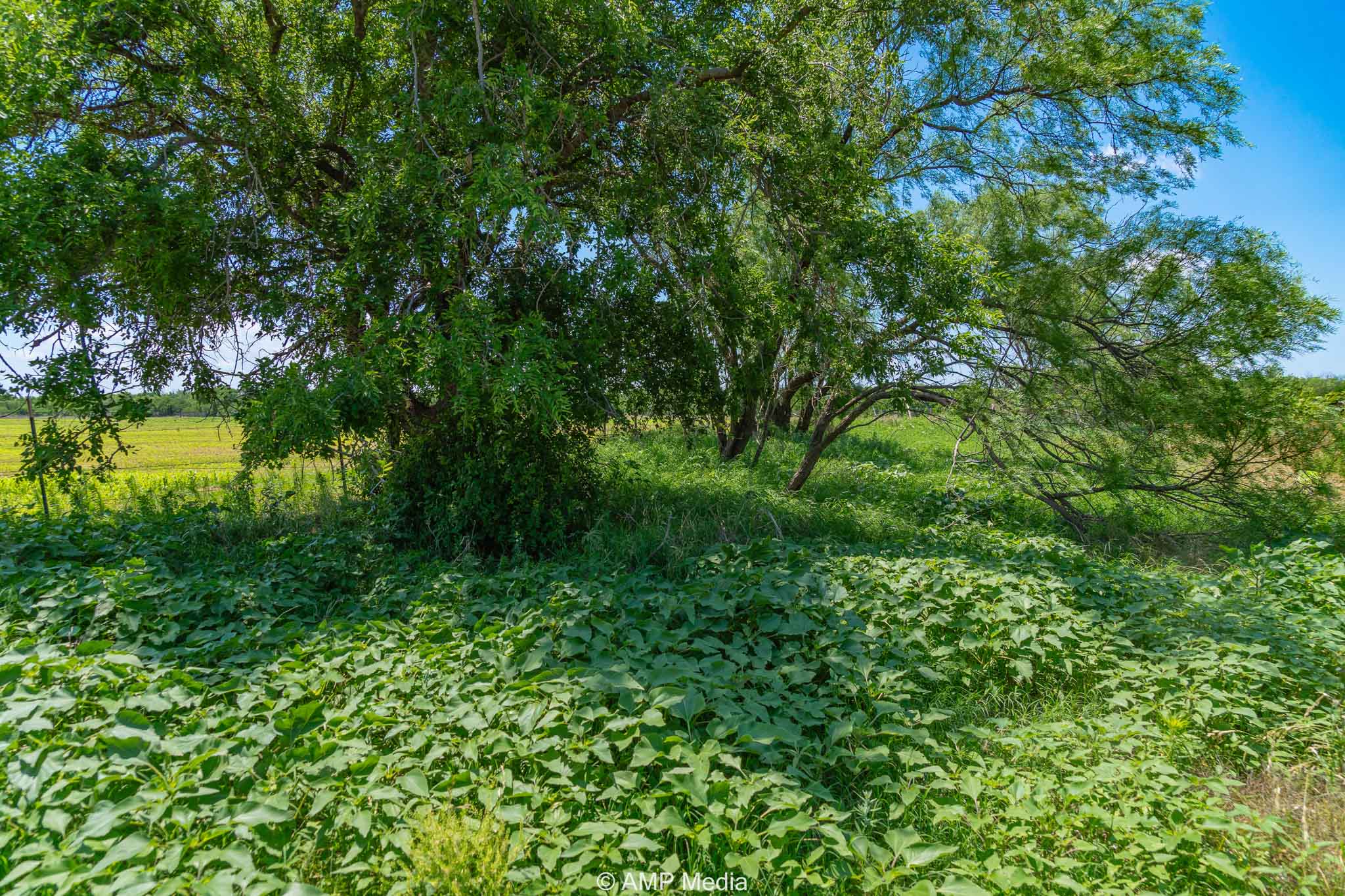 Property Photo 10 Property photograph 10