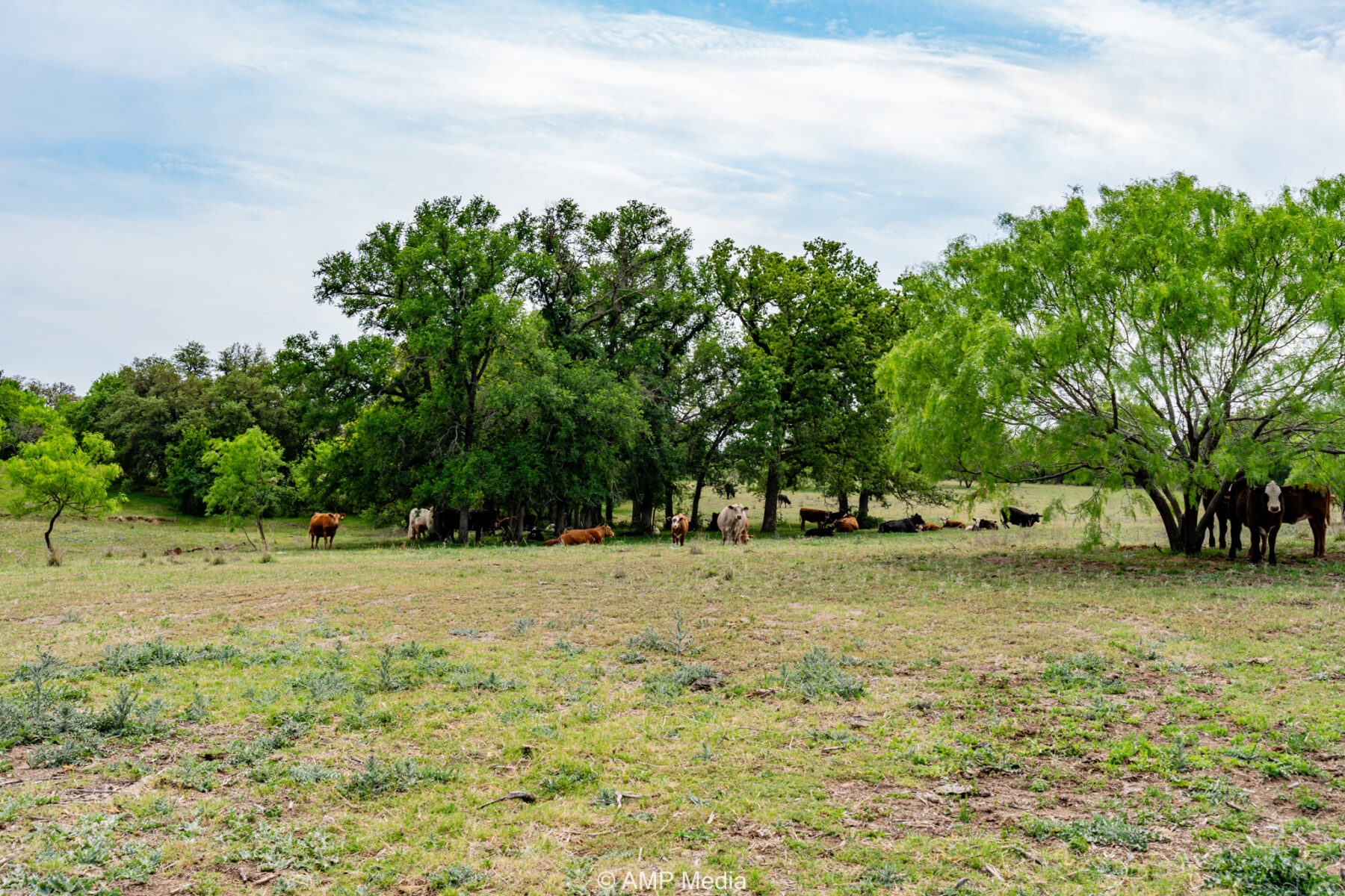 Property Photo 10 Property photograph 10