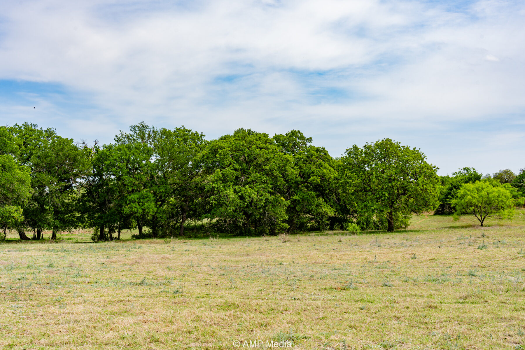 Property Photo 10 Property photograph 10