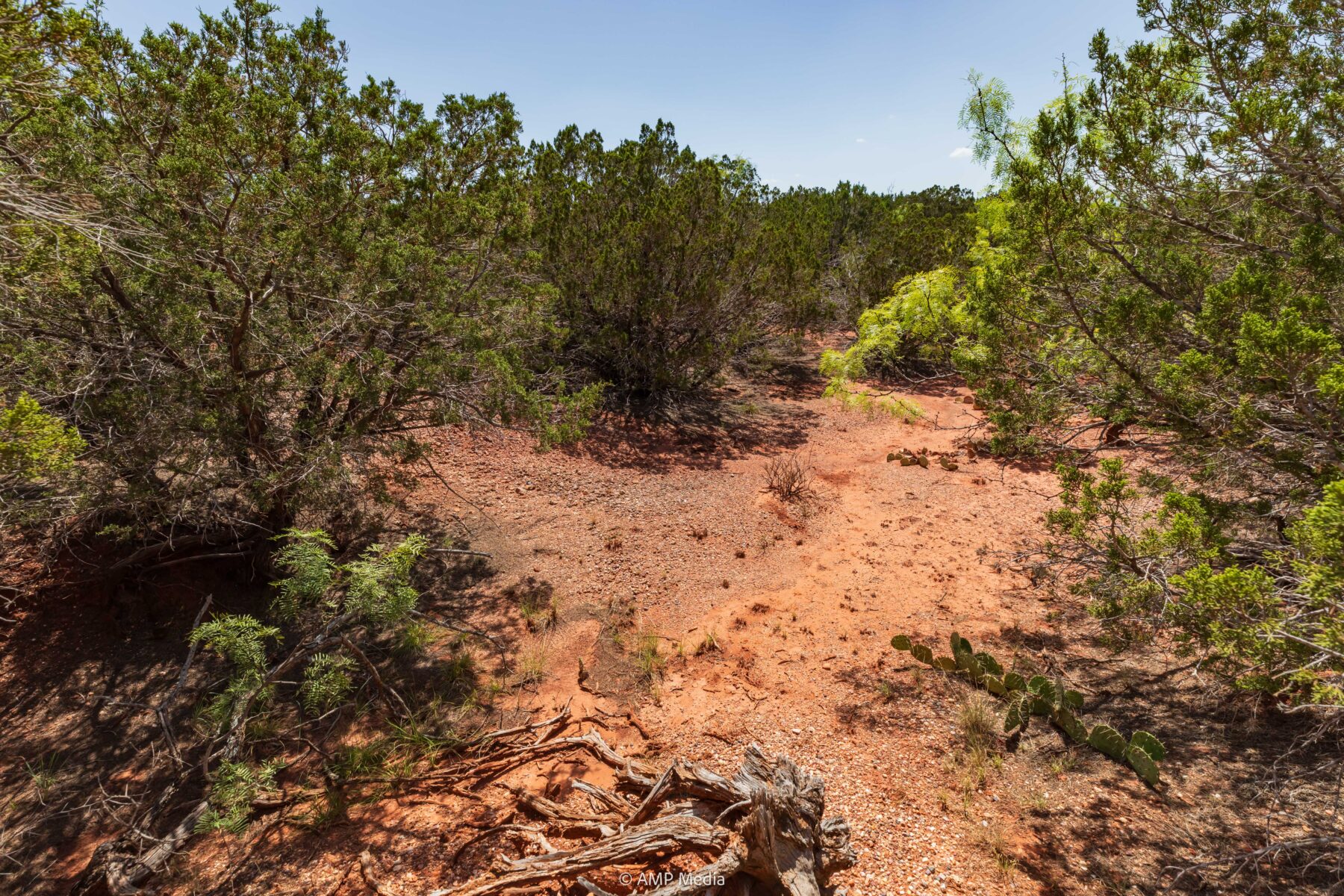 Property Photo 10 Property photograph 10