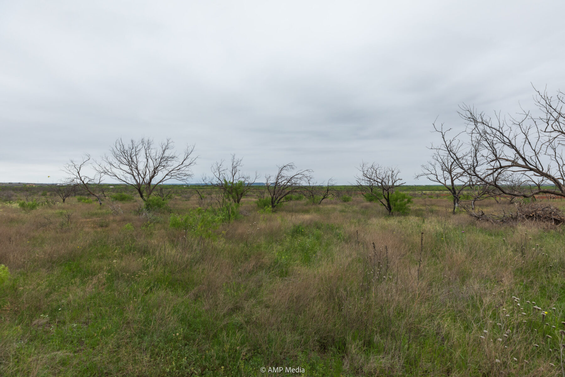 Property Photo 10 Property photograph 10