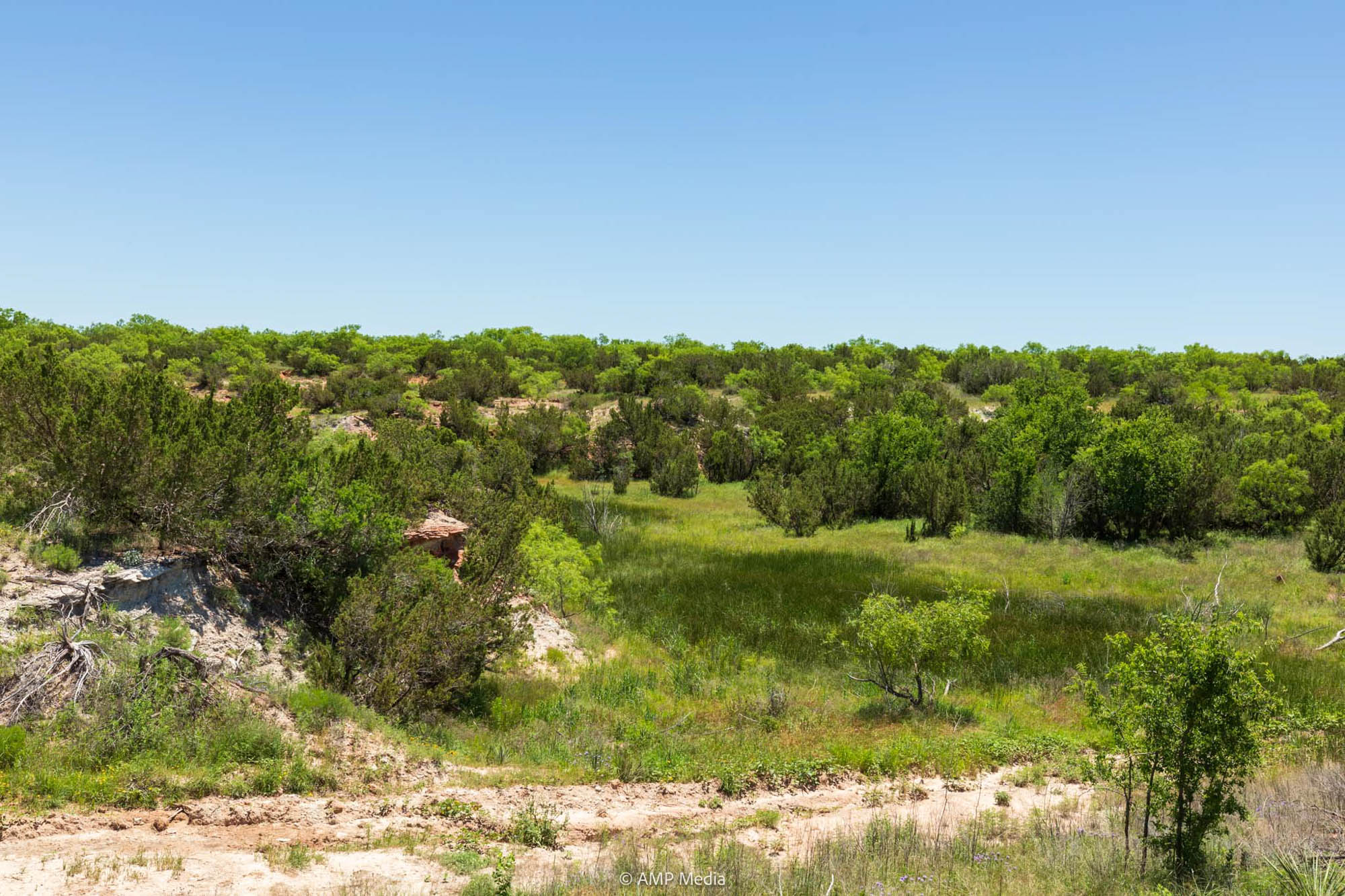 Property Photo 10 Property photograph 10