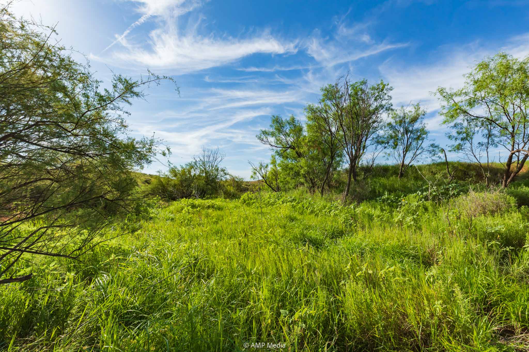 Property Photo 10 Property photograph
