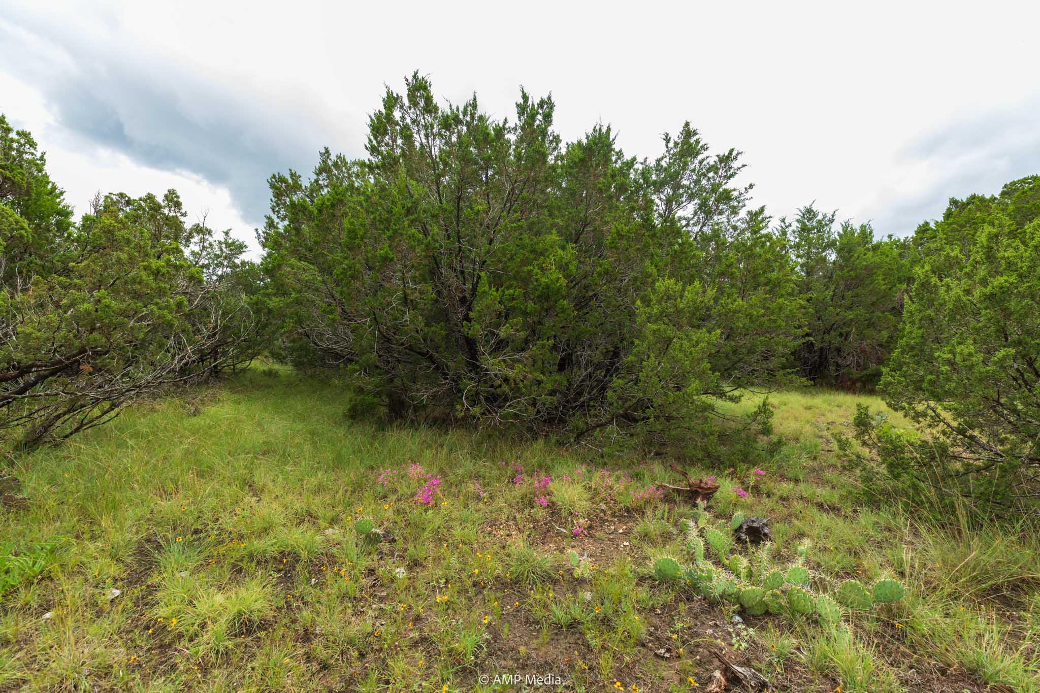 Property Photo 10 Property photograph 10