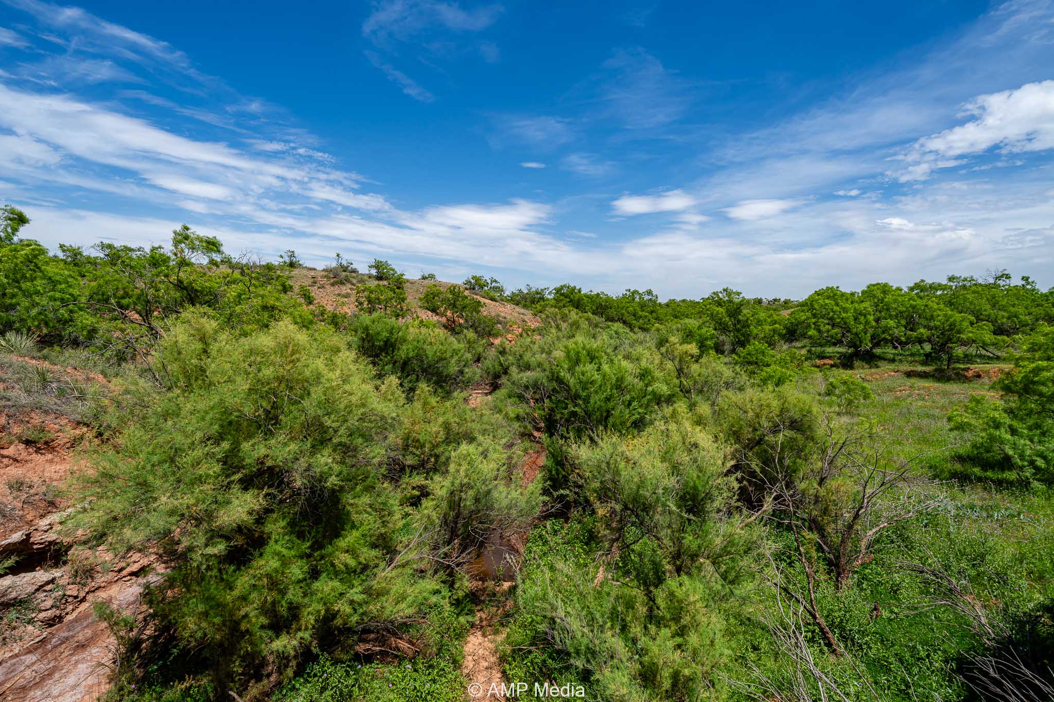 Property Photo 10 Property photograph 10