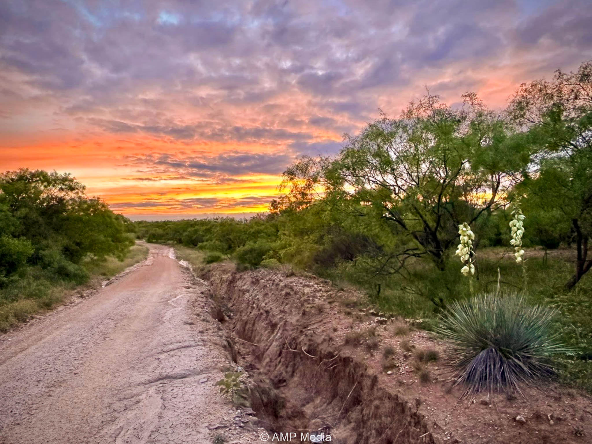 Property Photo 100 Property photograph 100