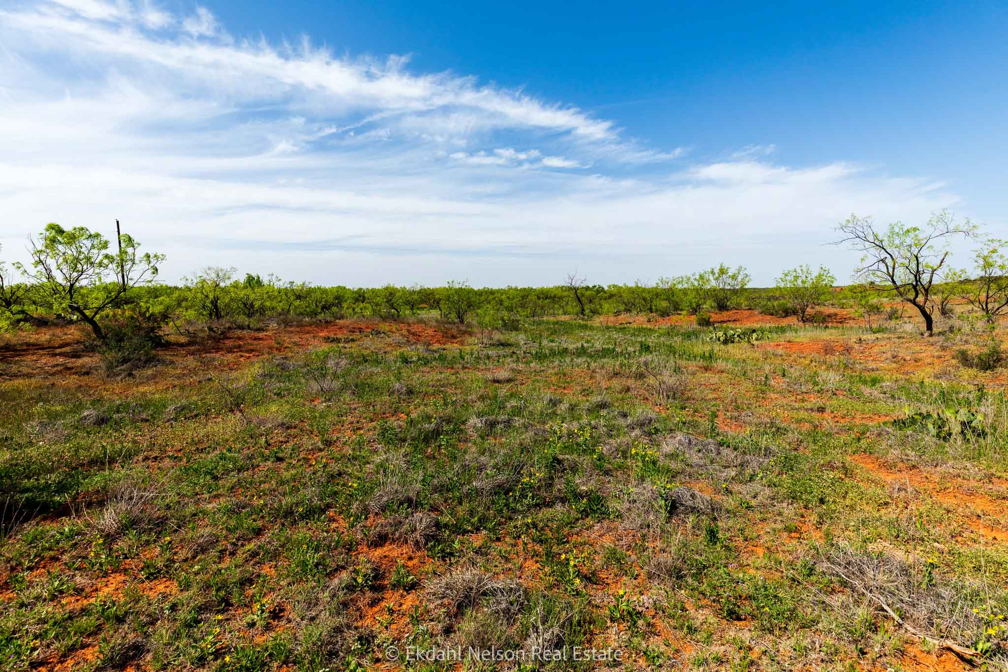 Property Photo 11 Property photograph 11