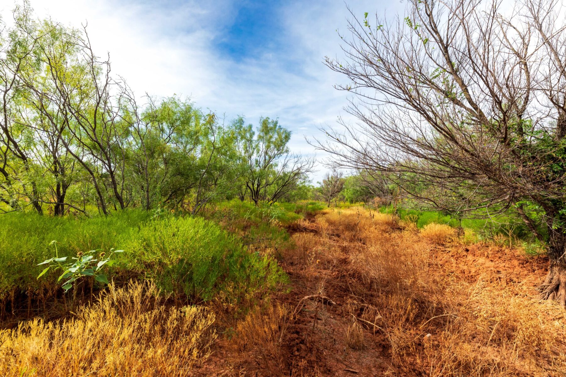 Property Photo 11 Property photograph 11