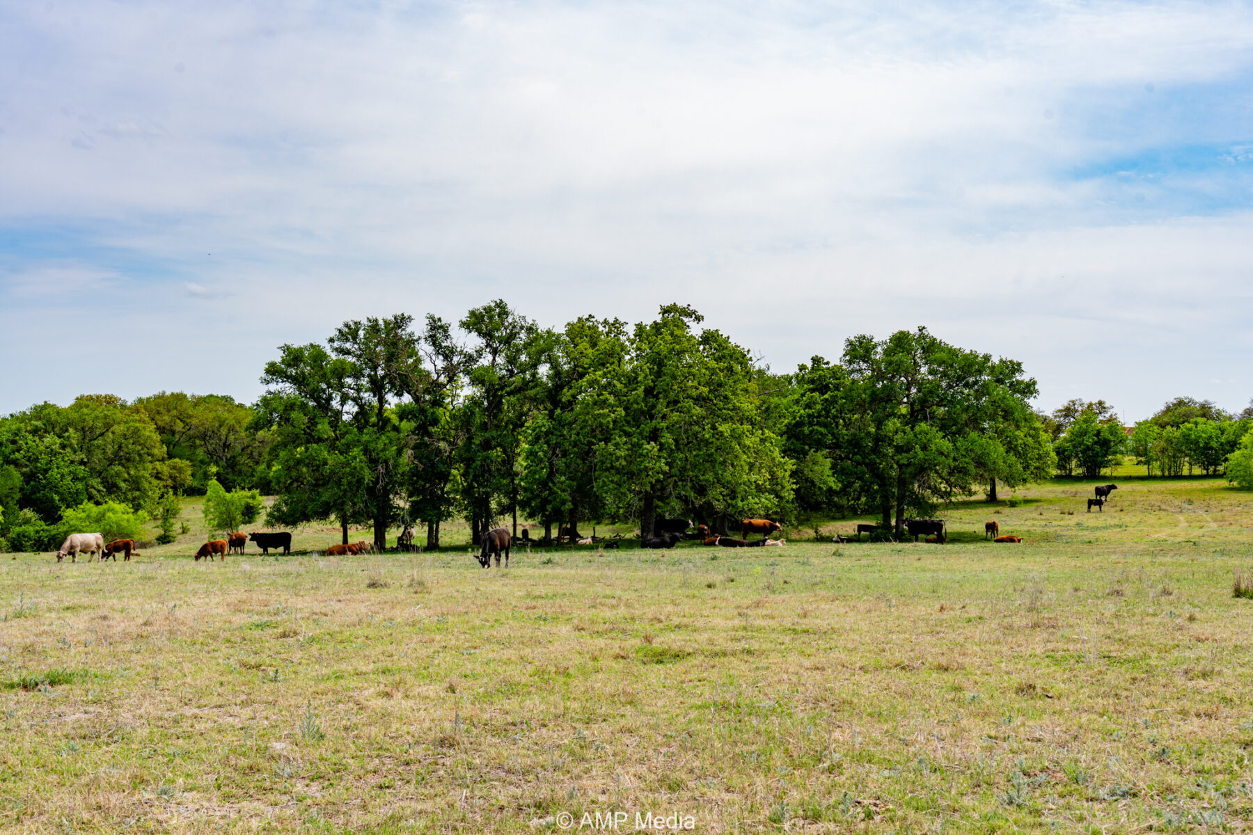 Property Photo 11 Property photograph 11