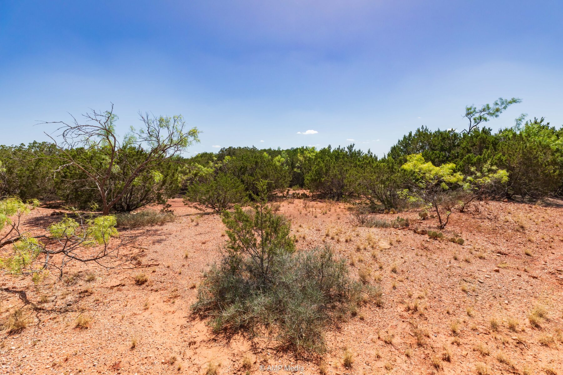 Property Photo 11 Property photograph 11