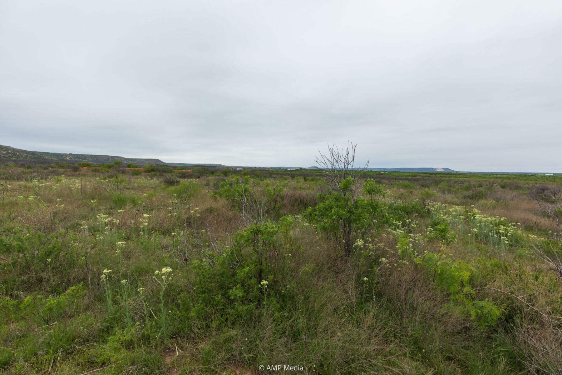 Property Photo 11 Property photograph 11