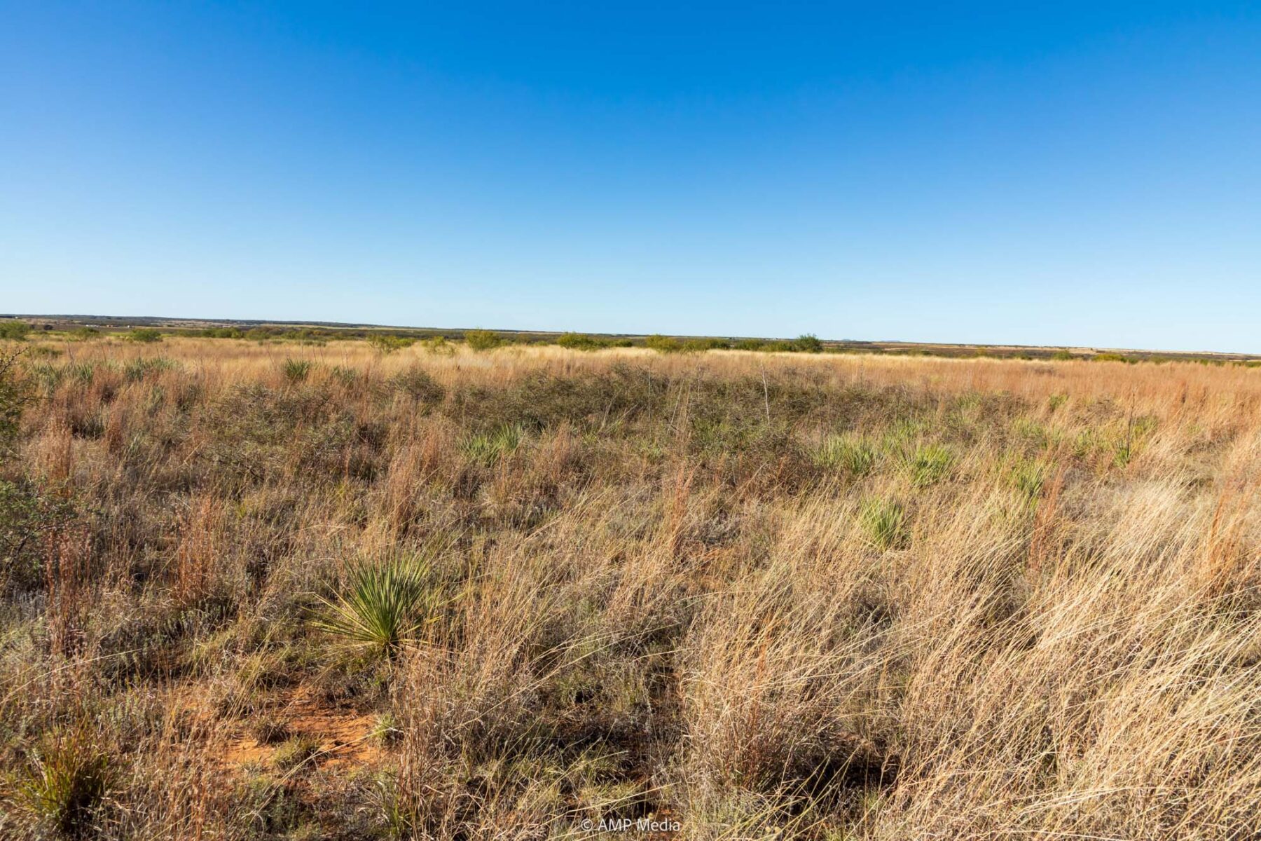 Property Photo 11 Property photograph 11