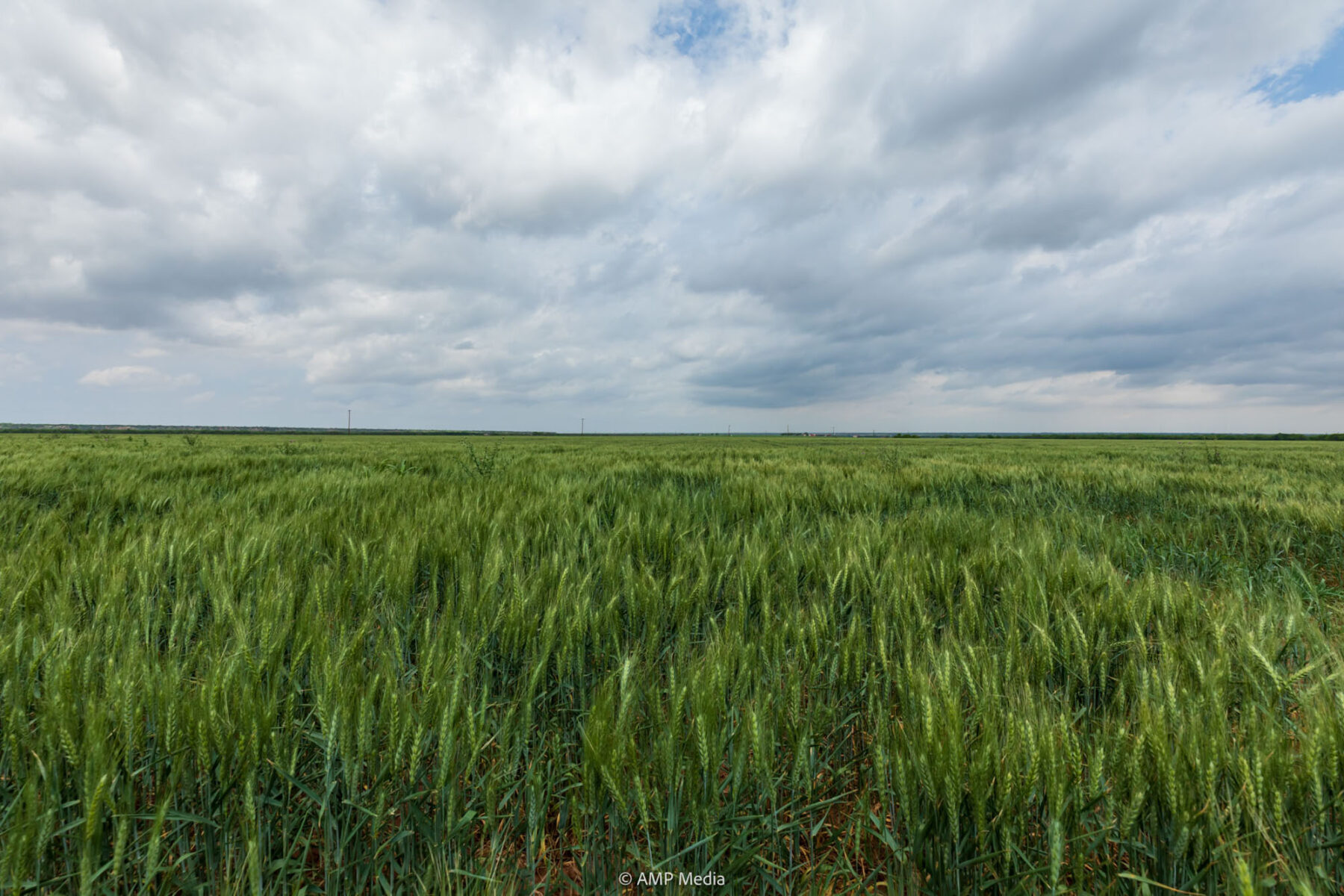 Property Photo 11 Property photograph 11