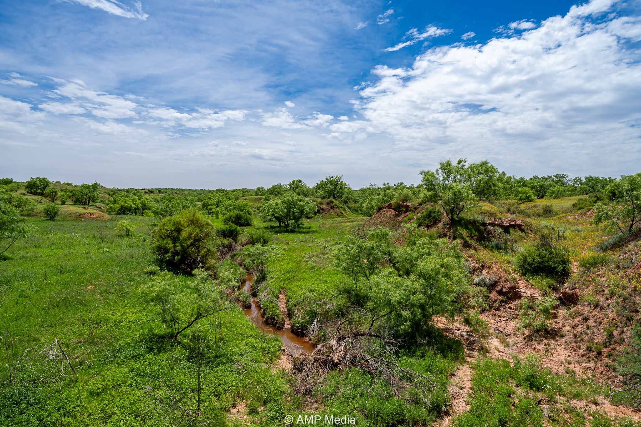 Property Photo 11 Property photograph 11