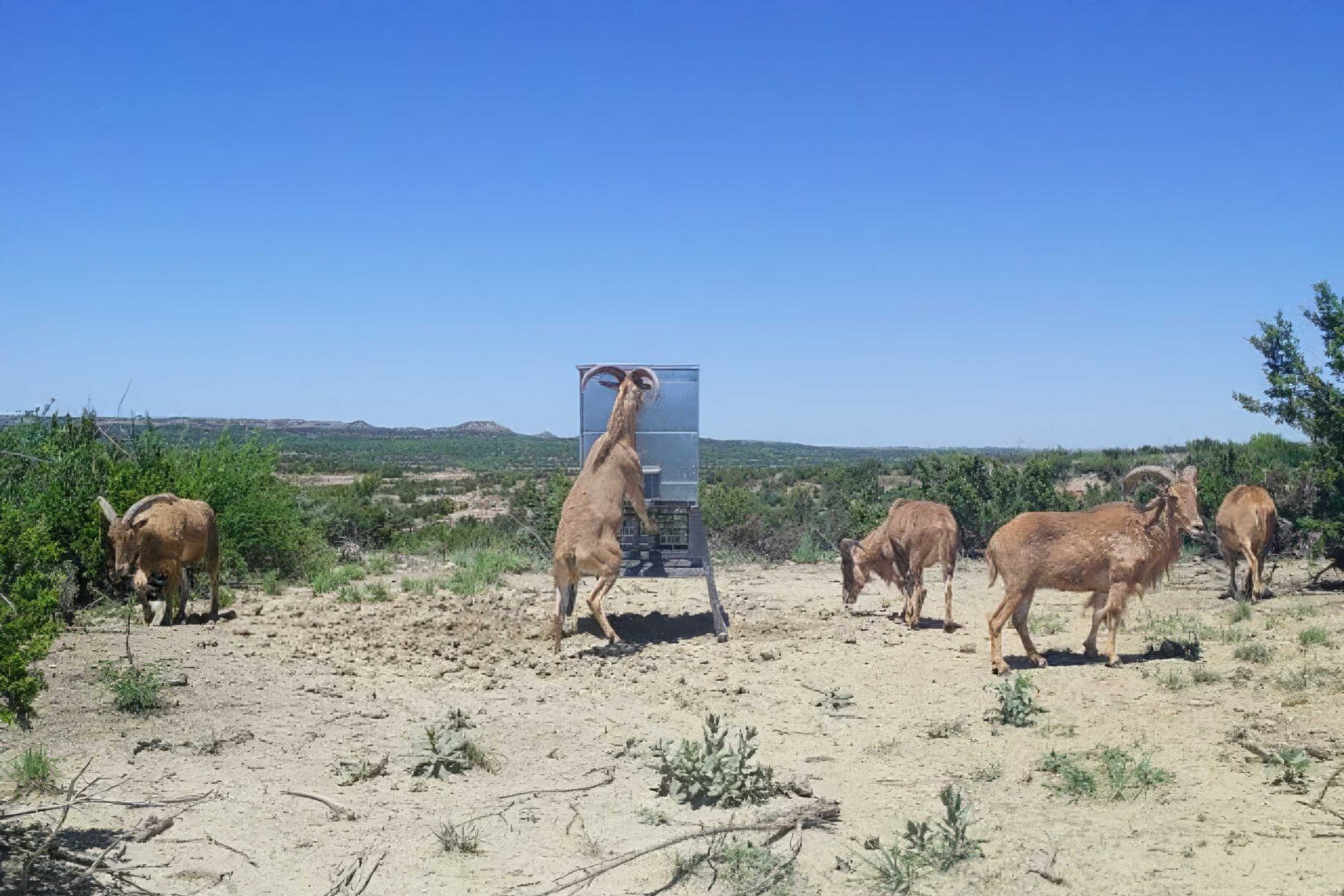 Property Photo 11 Property photograph 11