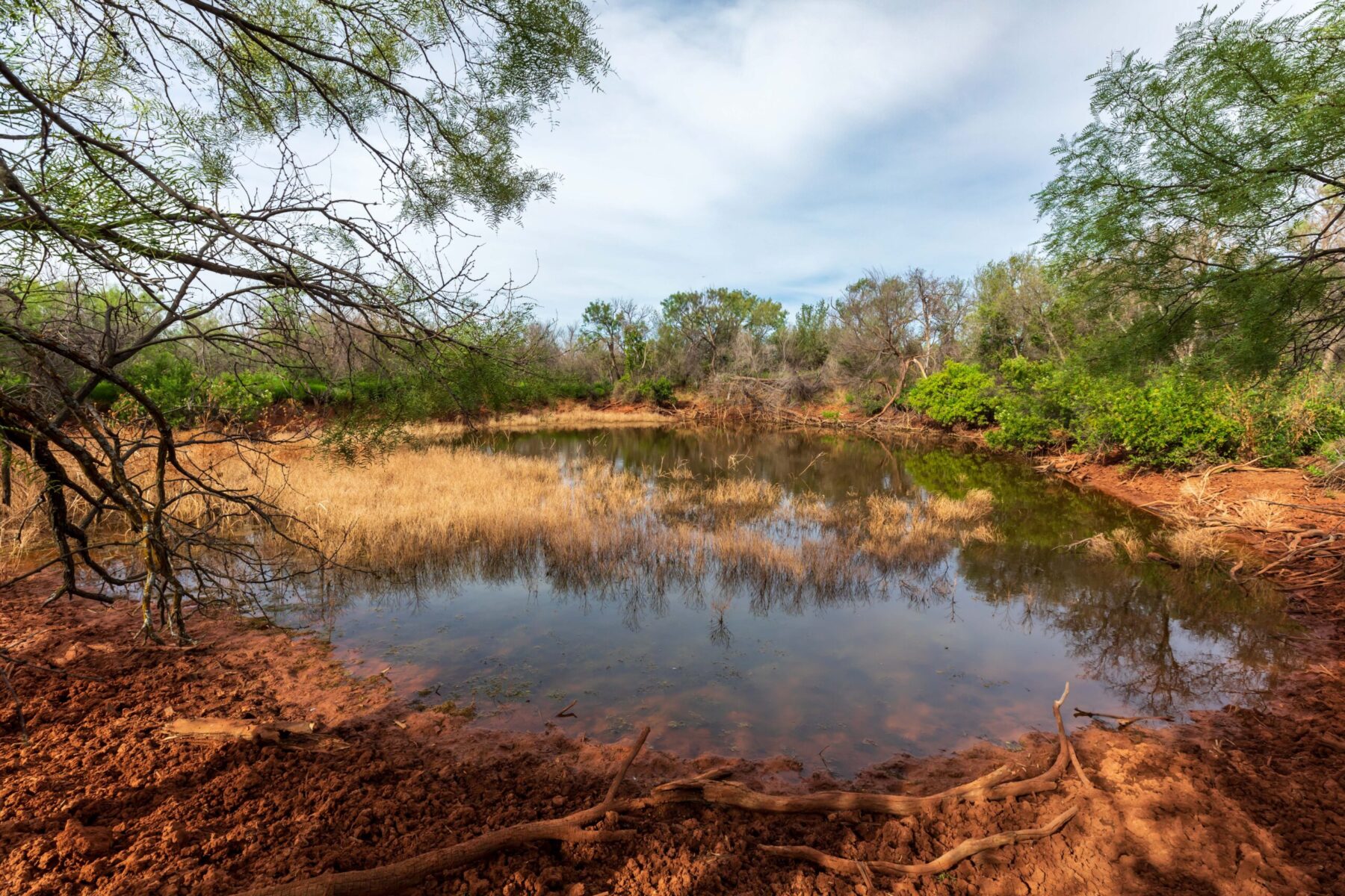 Property Photo 12 Property photograph 12