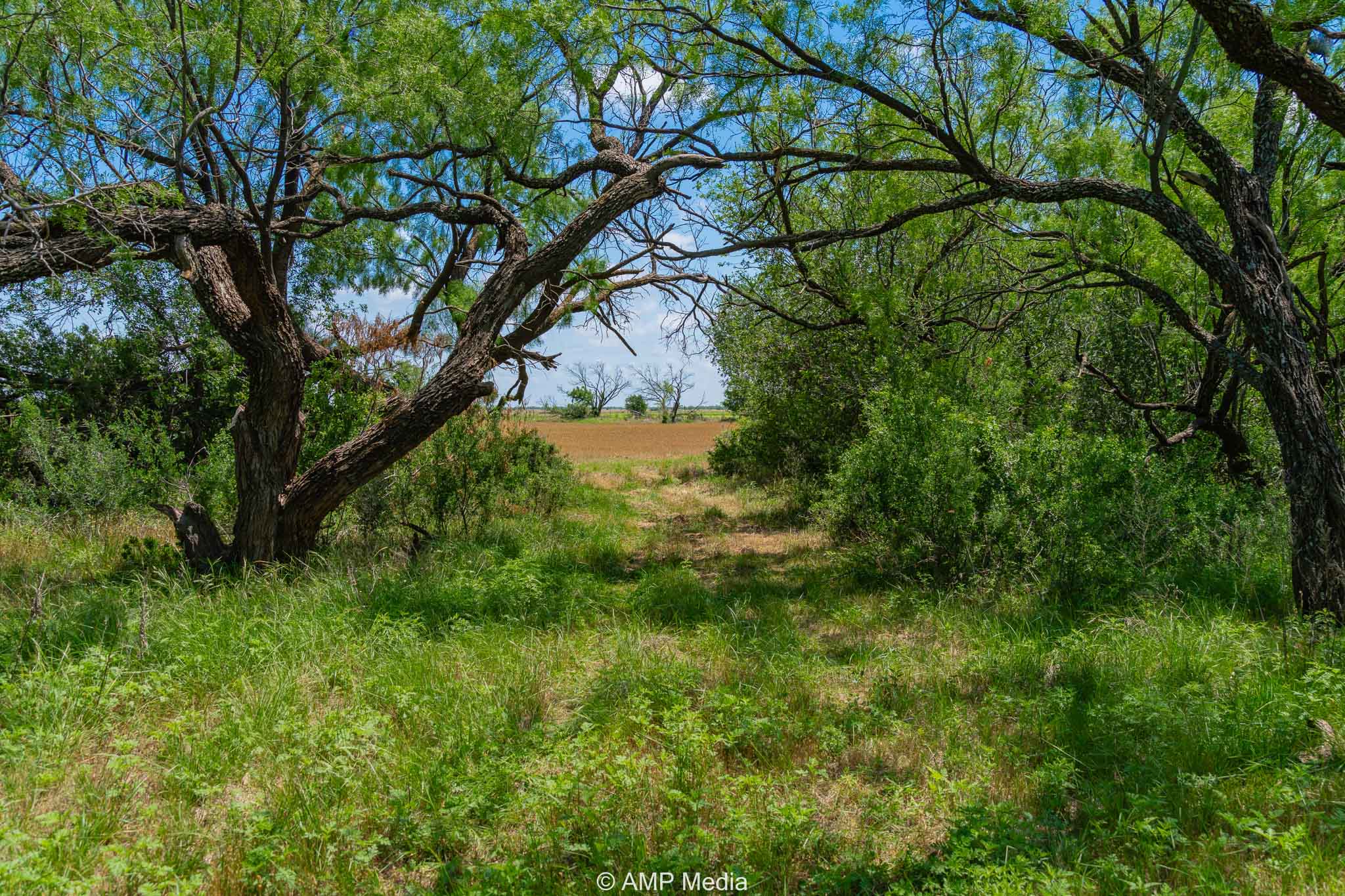 Property Photo 12 Property photograph 12