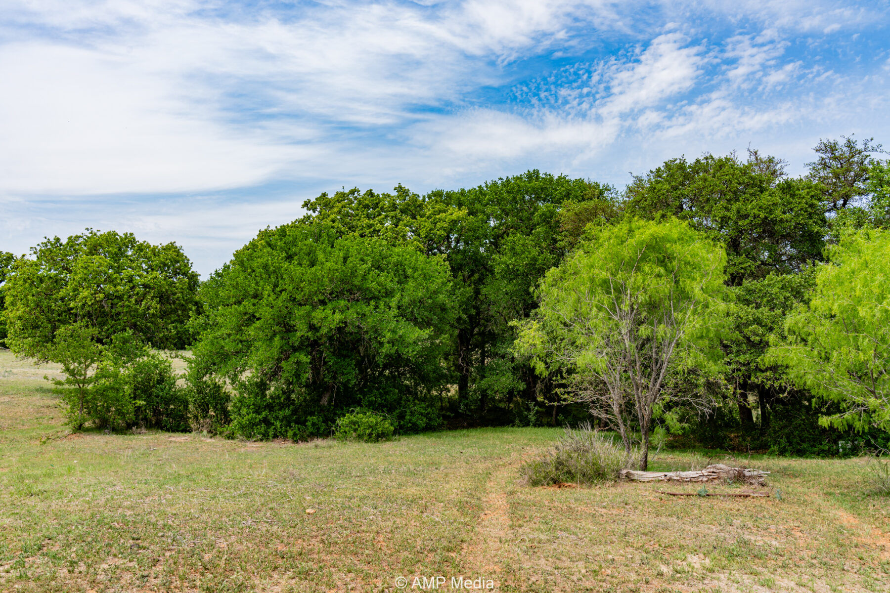 Property Photo 12 Property photograph 12