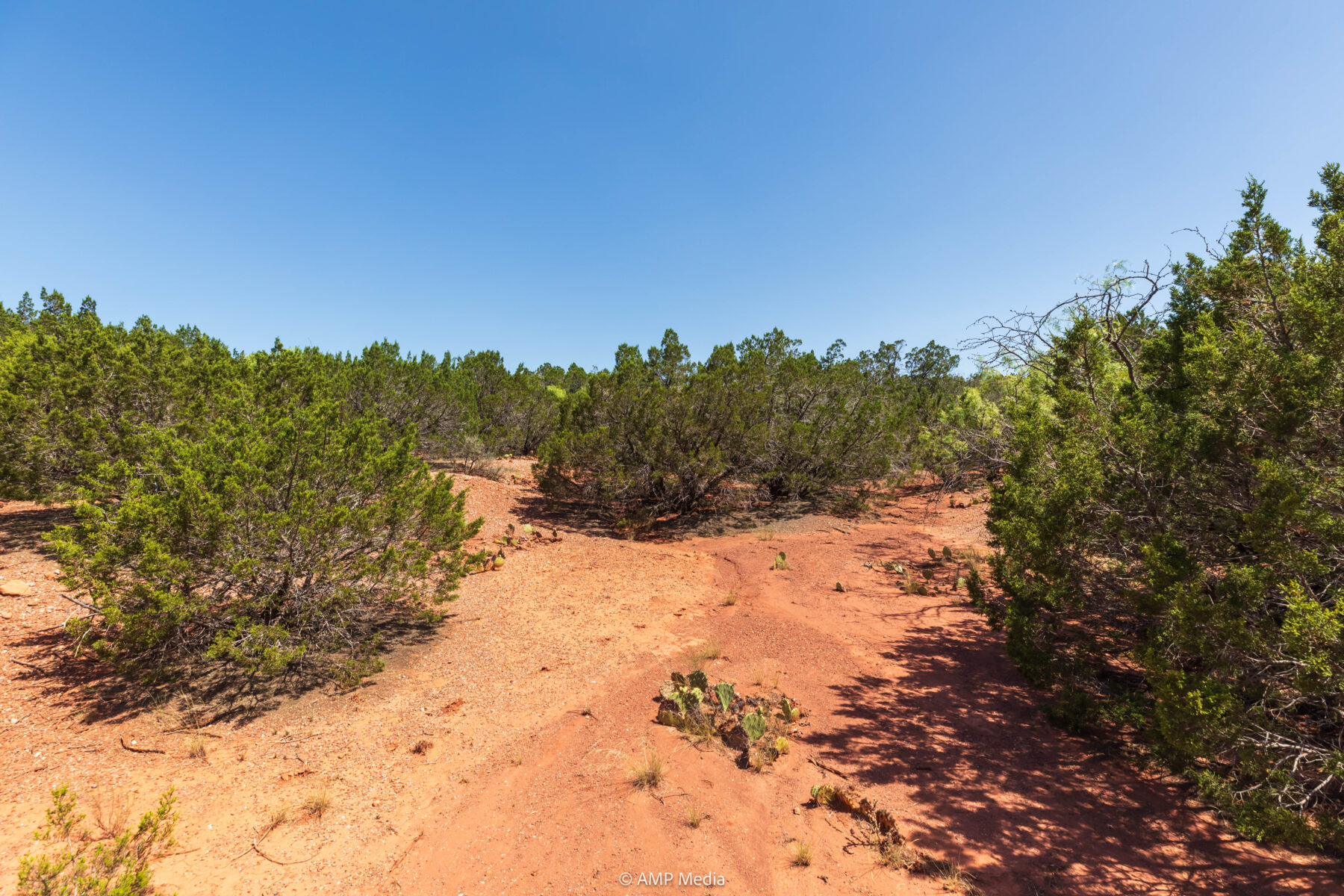 Property Photo 12 Property photograph 12