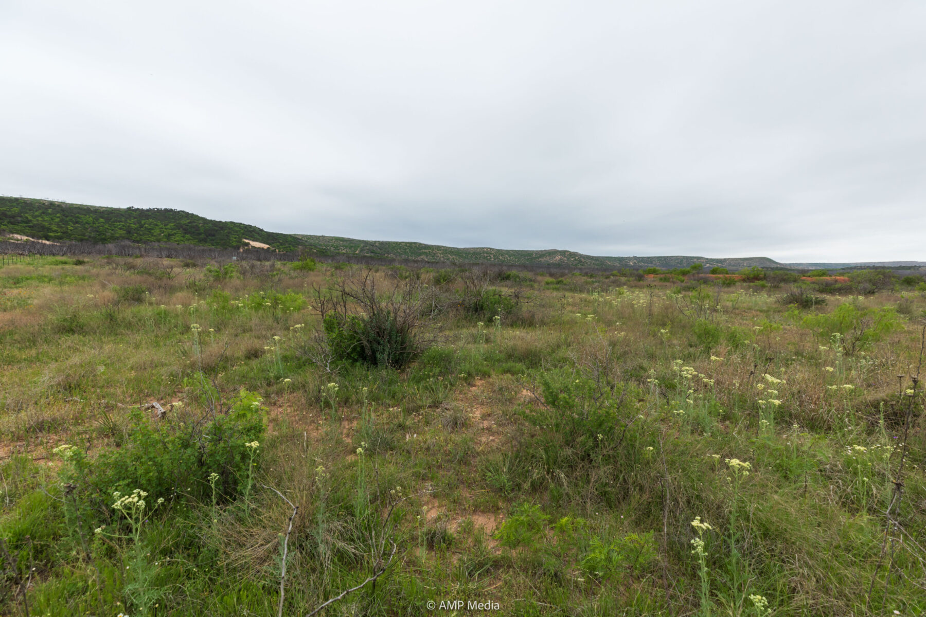 Property Photo 12 Property photograph 12