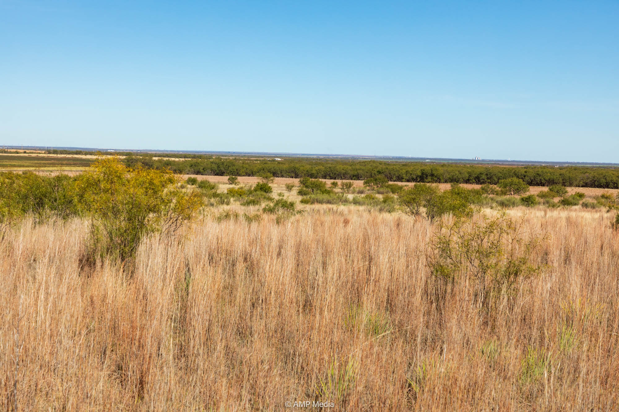 Property Photo 12 Property photograph 12