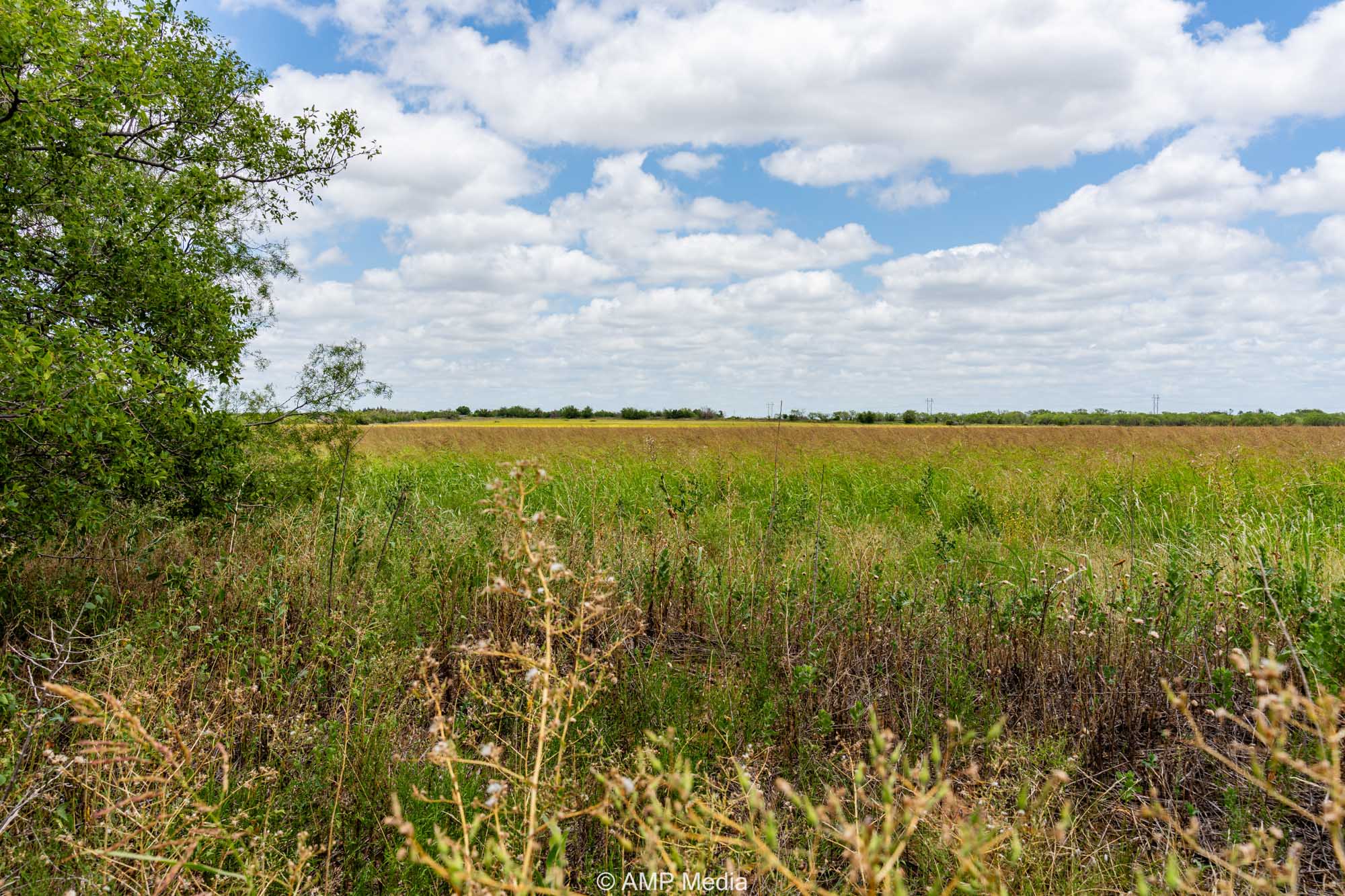 Property Photo 12 Property photograph 12