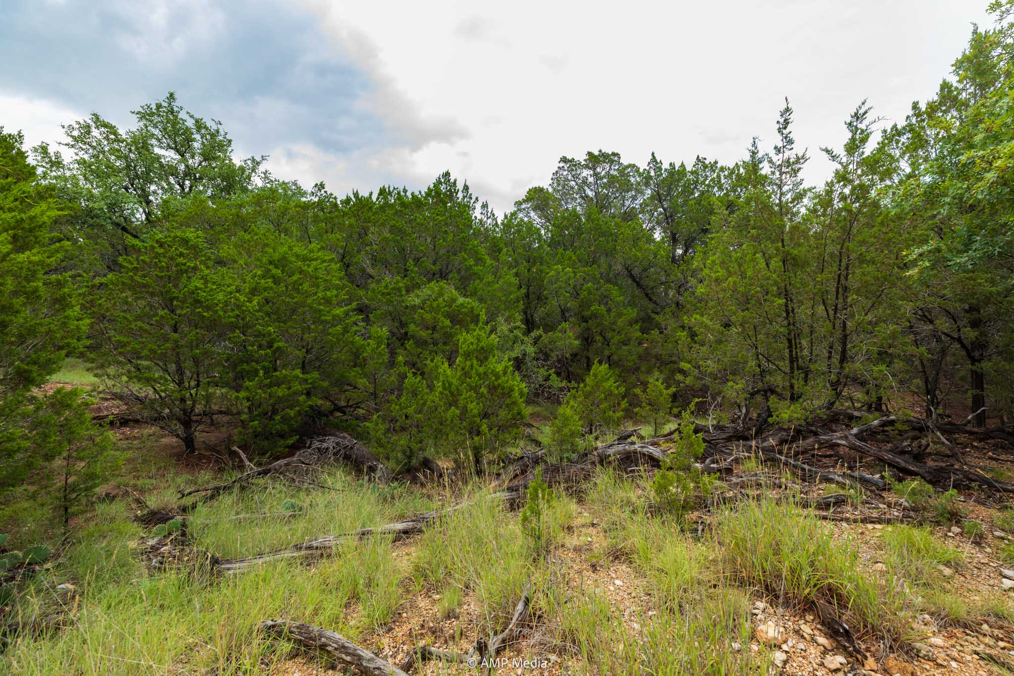 Property Photo 12 Property photograph 12