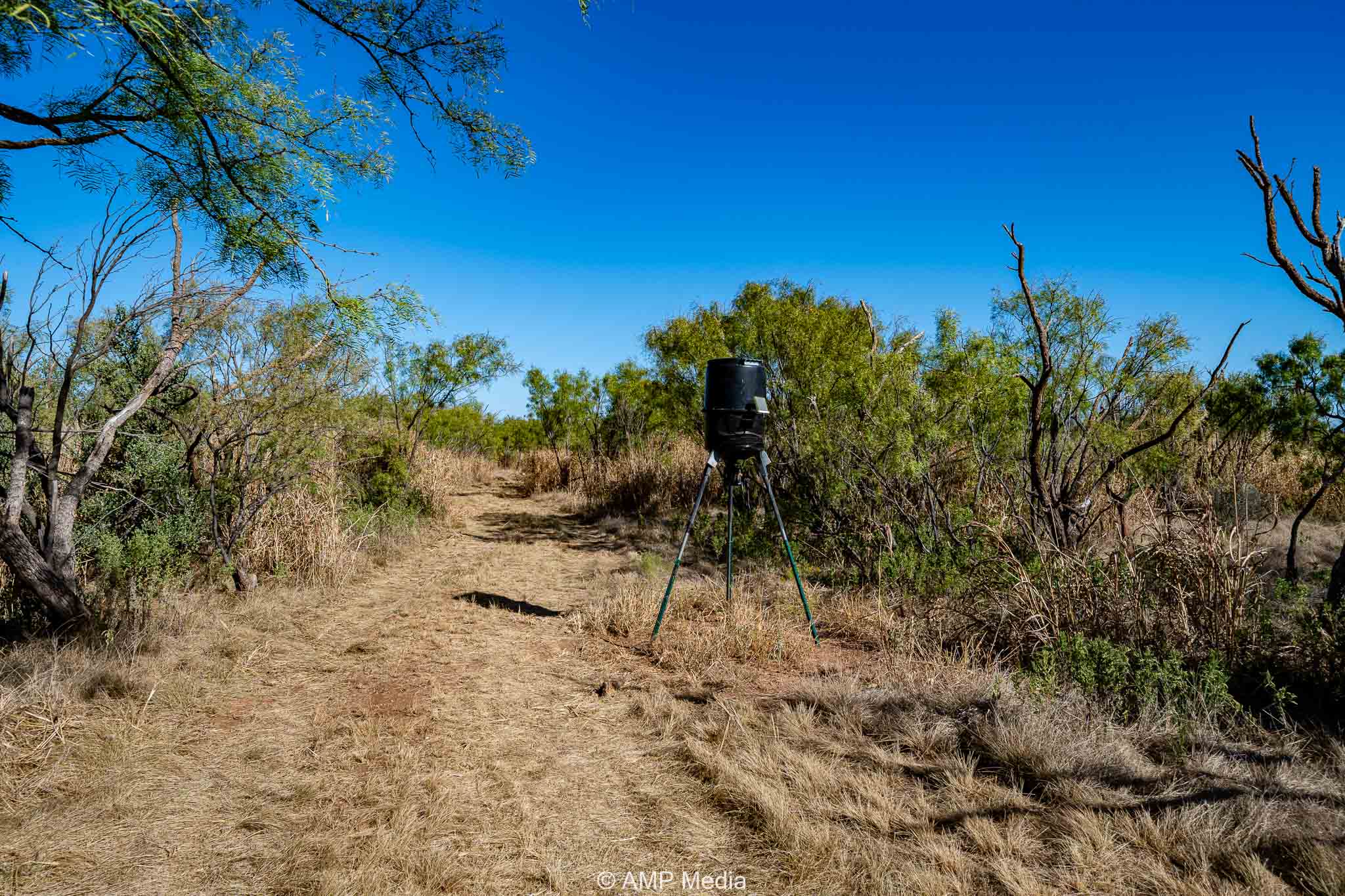 Property Photo 12 Property photograph 12