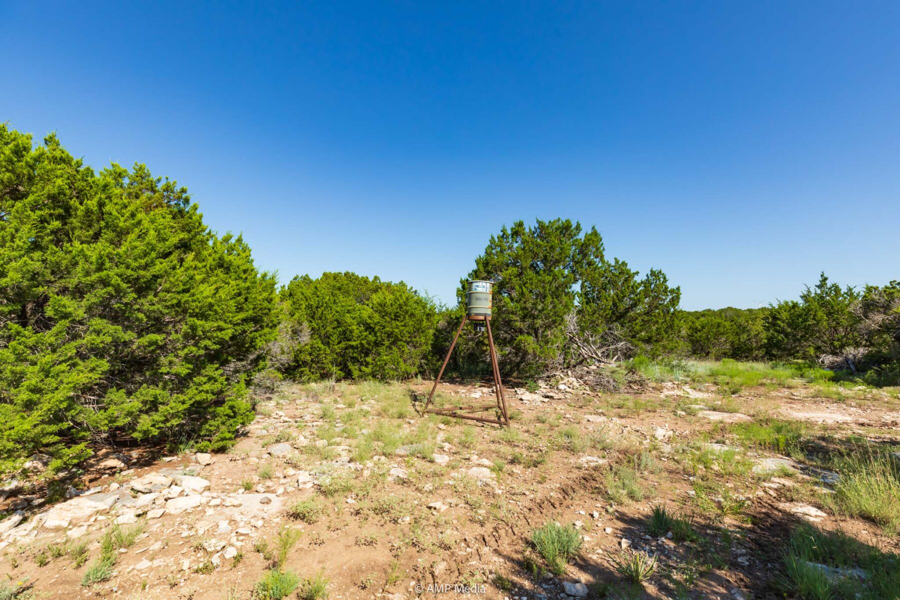 Property Photo 12 Property photograph 12