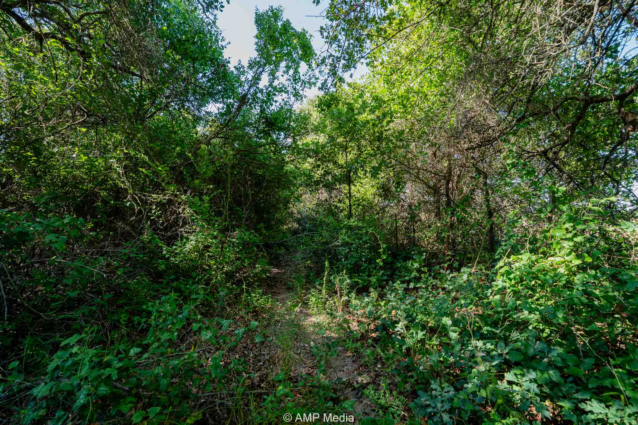 Property Photo 12 Property photograph 12