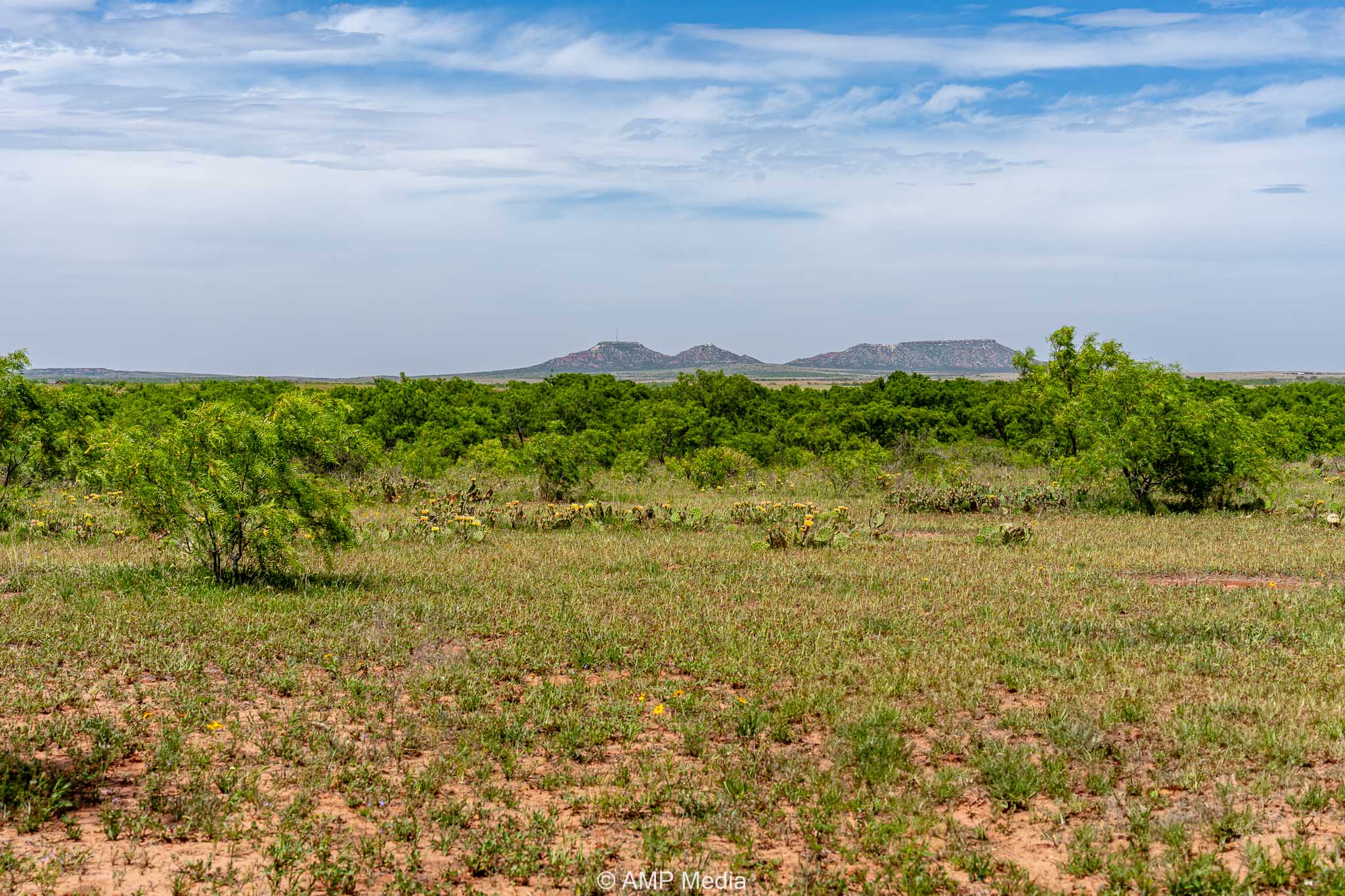 Property Photo 12 Property photograph 12