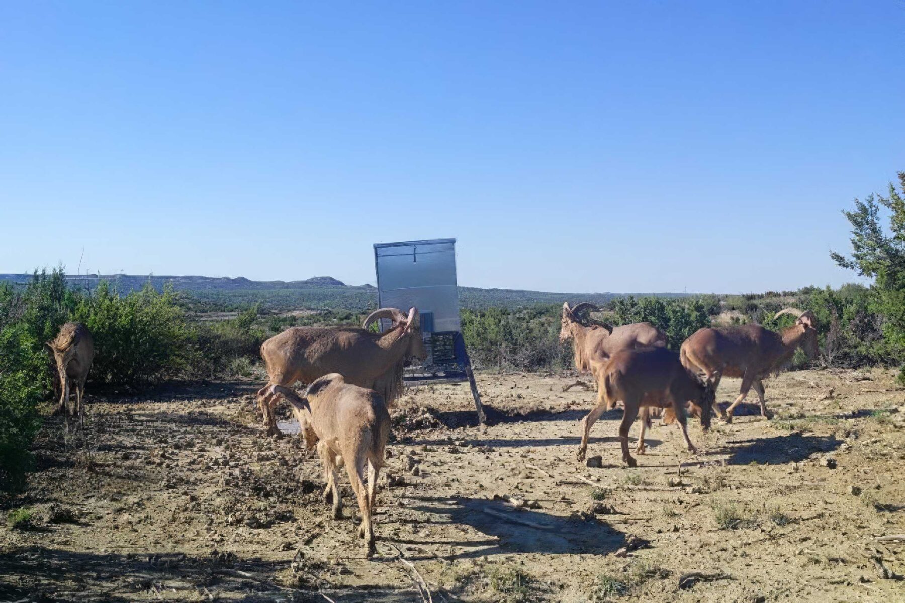 Property Photo 12 Property photograph 12