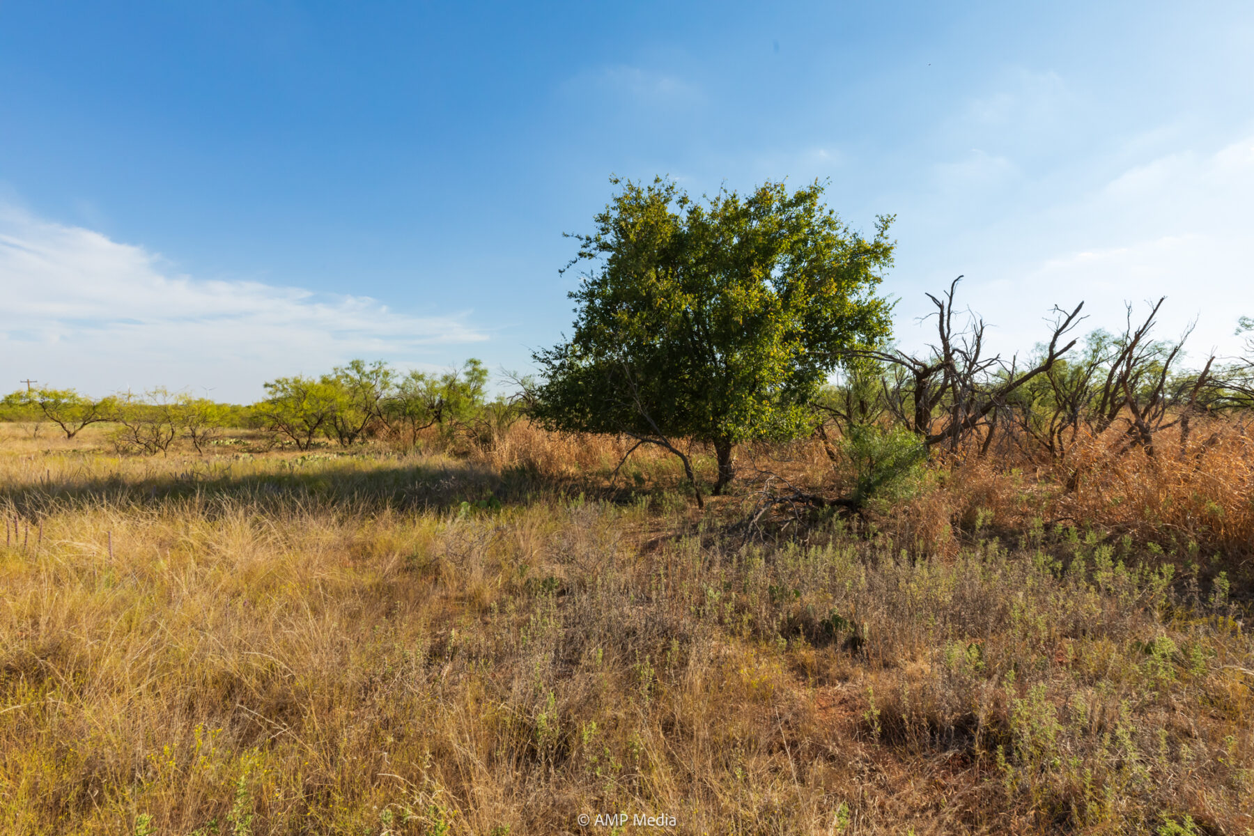 Property Photo 12 Property photograph 12