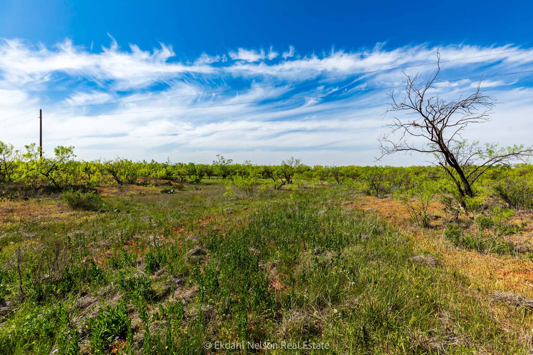 Property Photo 13 Property photograph 13