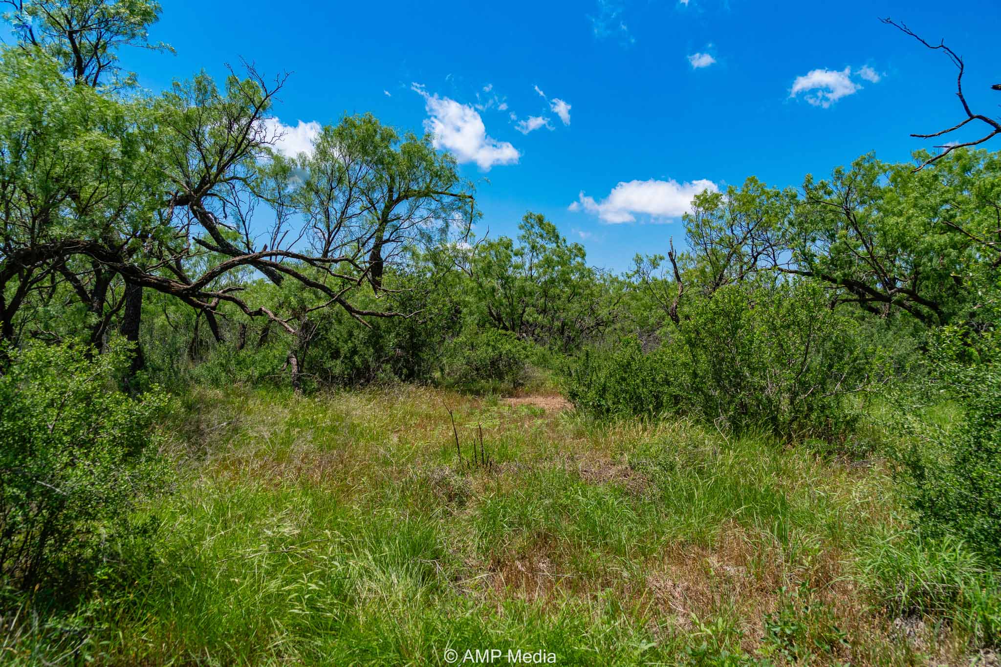 Property Photo 13 Property photograph 13
